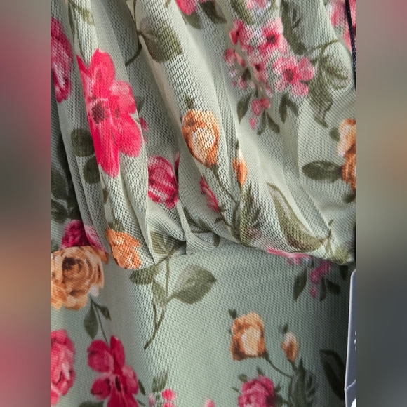 Fashion Nova Floral Mesh Mini Dress - Green and Pink - Picture 7 of 12